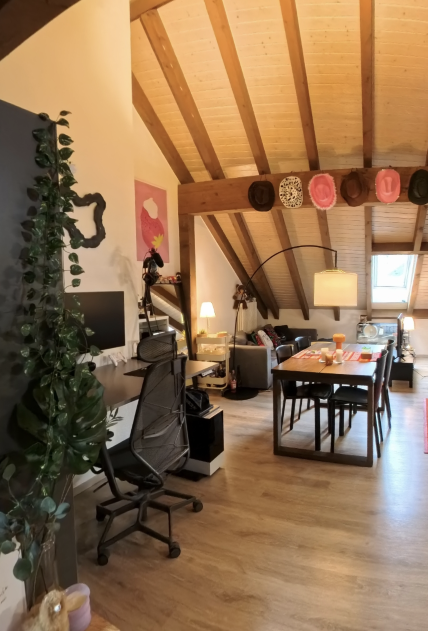 Salon et salle à manger sous les combles, extrait d’une visite virtuelle 360° d’appartement